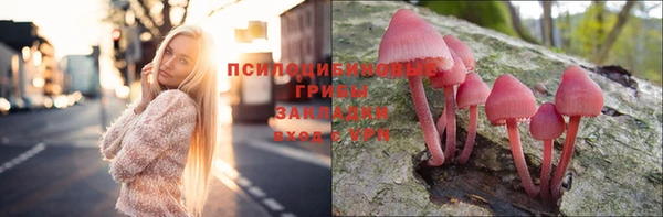 дурь Каменск-Шахтинский