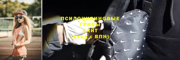 ALPHA-PVP Гвардейск