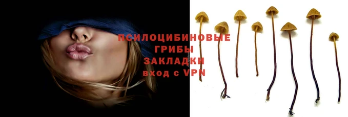 таблы Инта