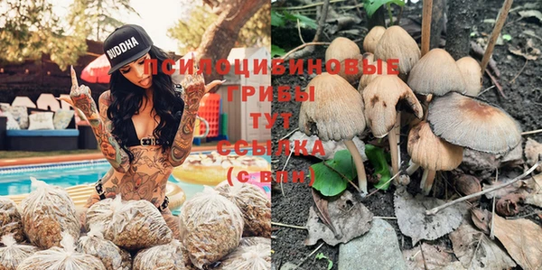 эйфоретик Иннополис