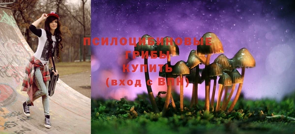 дурь Каменск-Шахтинский