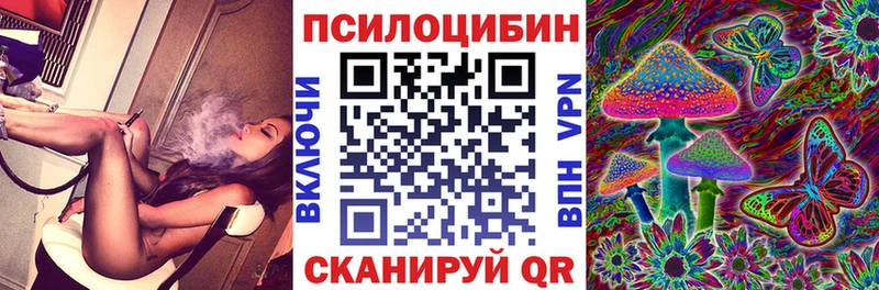 Псилоцибиновые грибы Cubensis  Камбарка 
