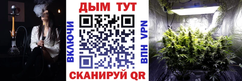 Бошки марихуана SATIVA & INDICA kraken ССЫЛКА Камбарка